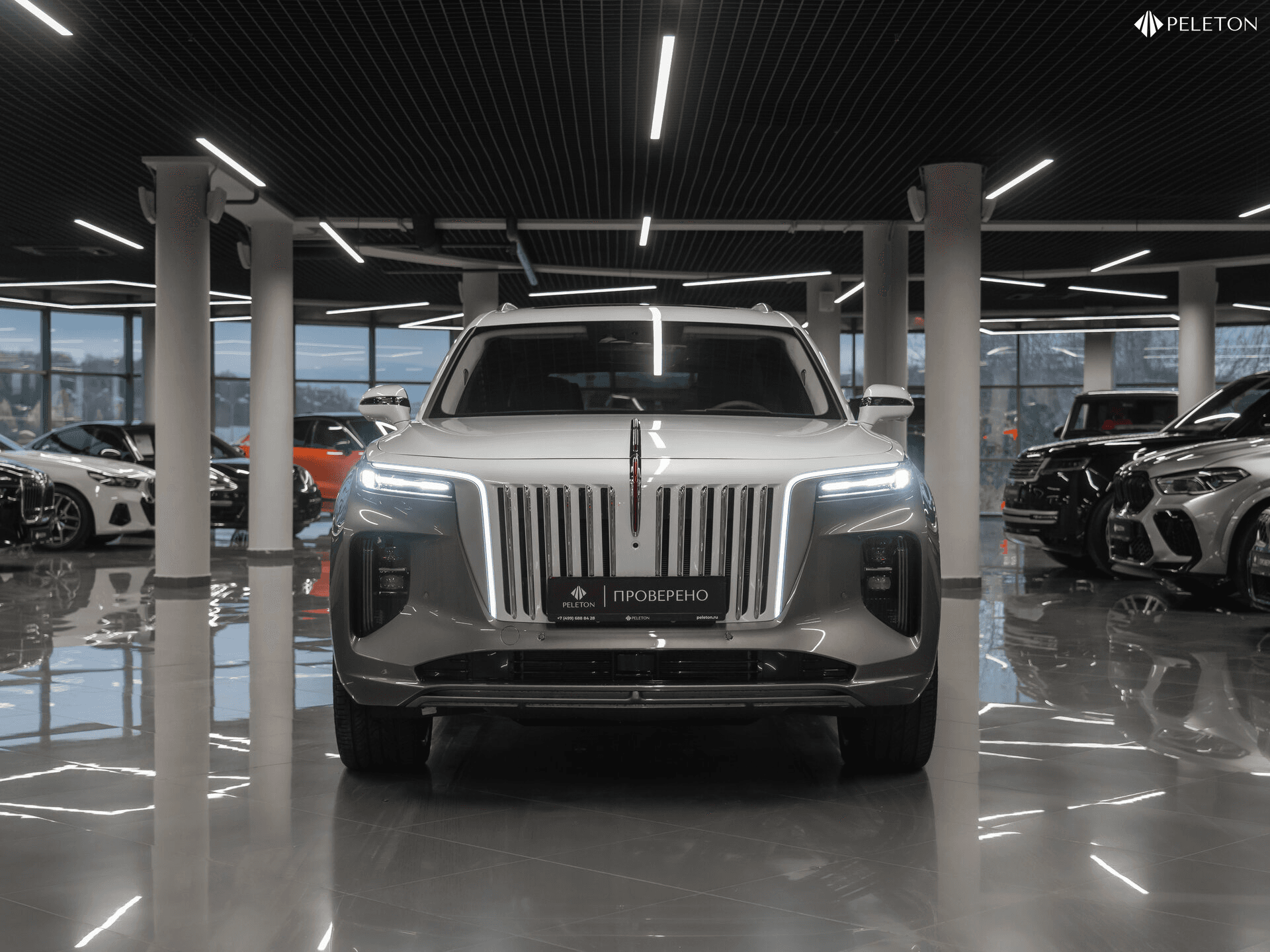 Hongqi E-HS9 2023 — миниатюра 3