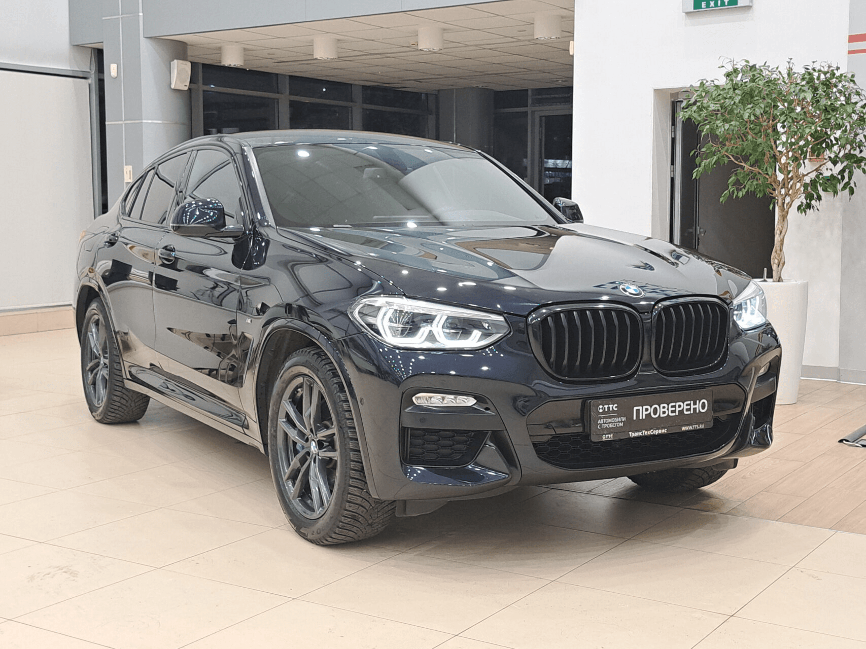BMW X4 2019 — миниатюра 3