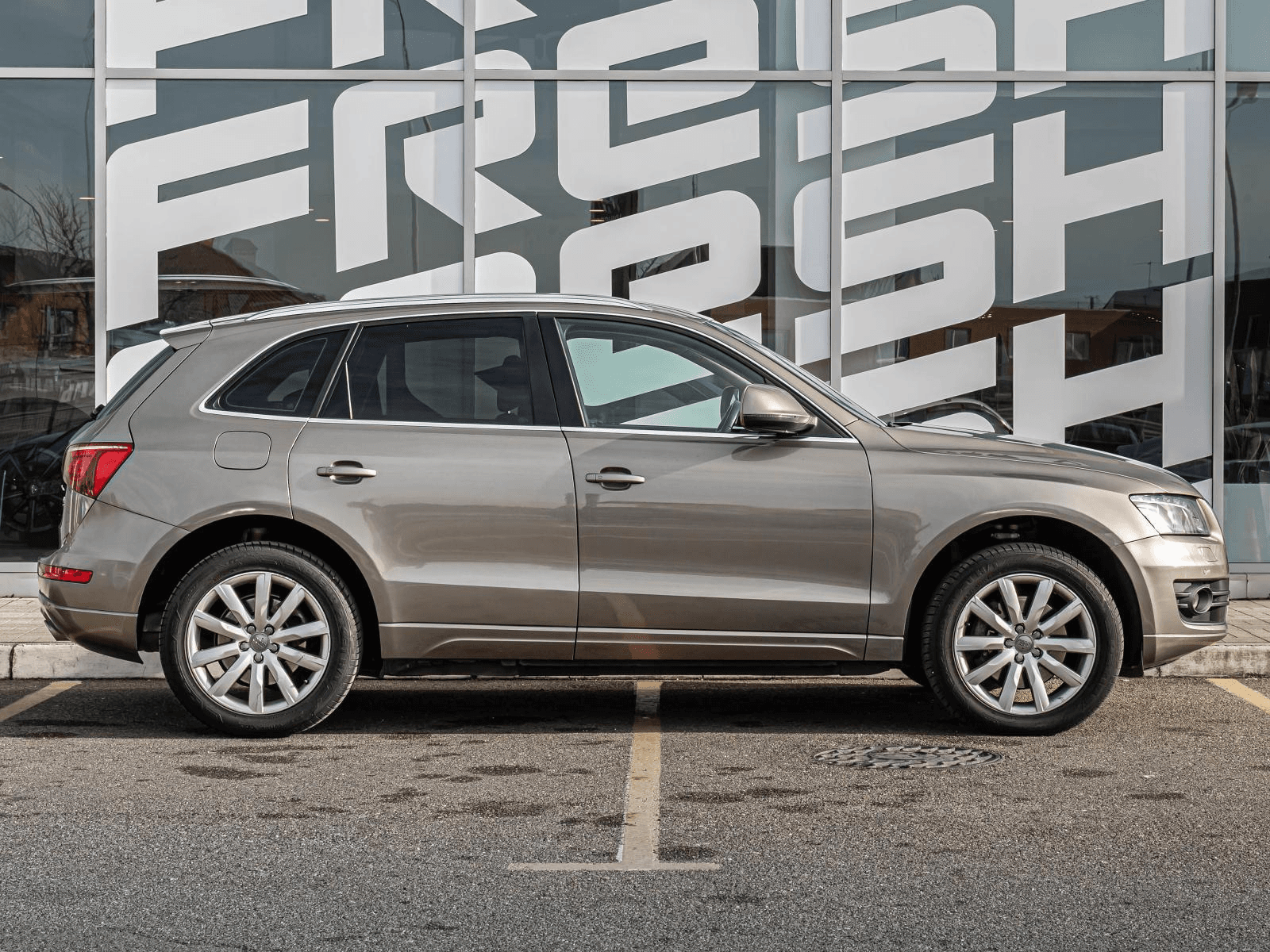 Audi Q5 2009 — миниатюра 5