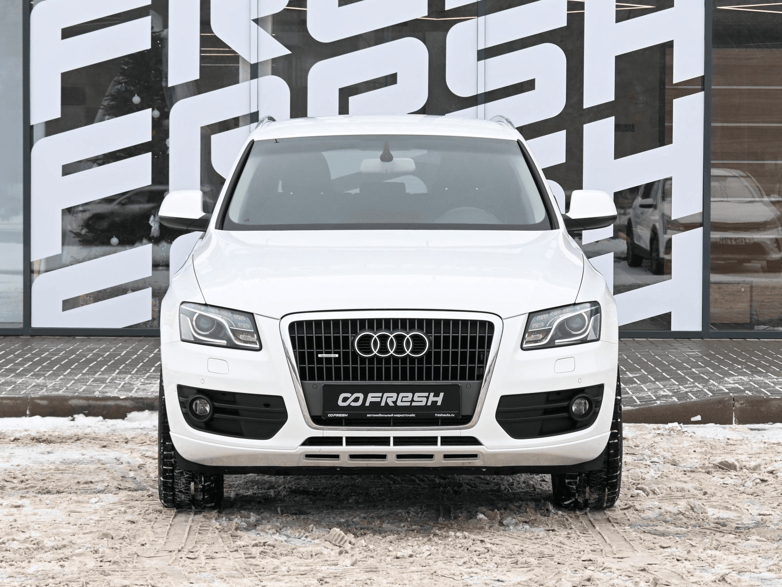 Audi Q5 2011 — миниатюра 3