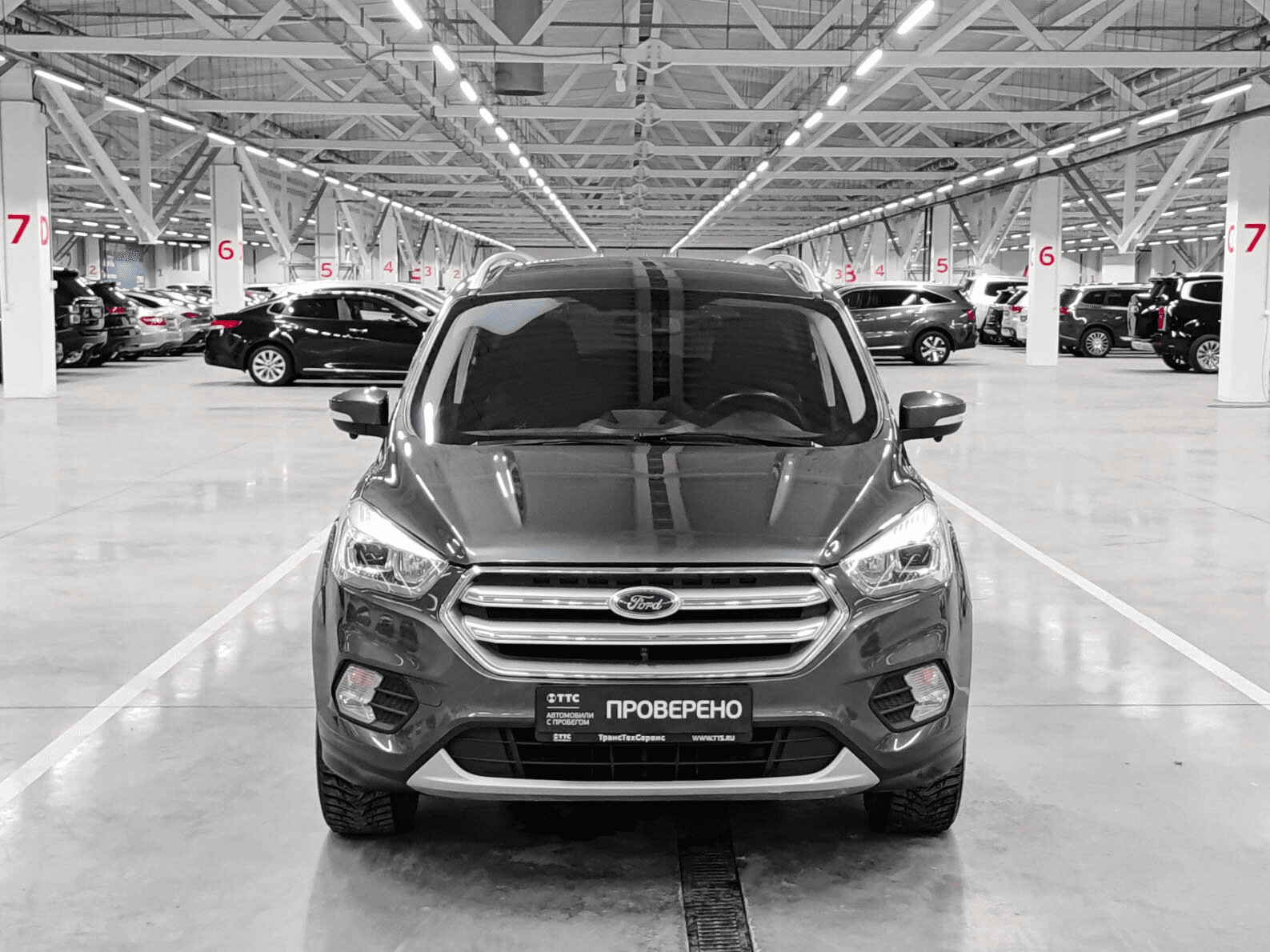 Ford Kuga 2019 — миниатюра 2