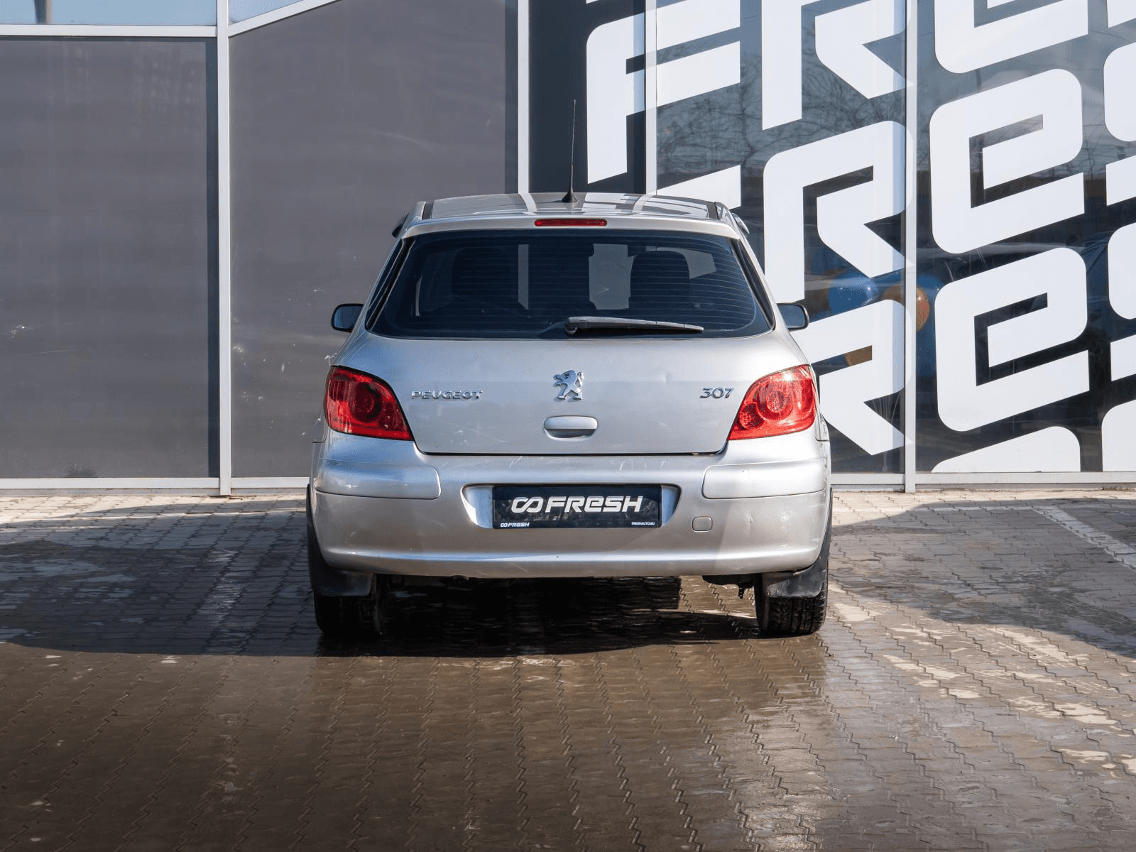 Peugeot 307 2007 — миниатюра 4